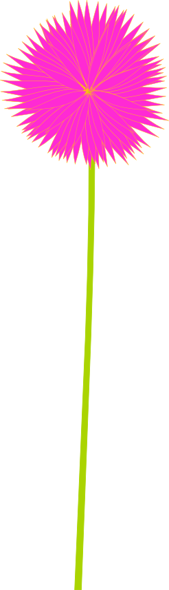 Image For Daffodil Clipart Lily Pad Flower Pencil And - Flower Clipart Transparent Background (246x857)