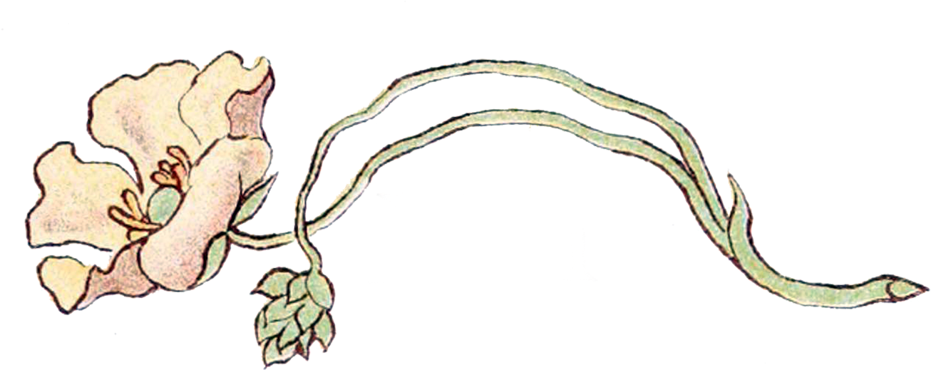 Art Deco Flowers Art Deco Flower Clipart 41 Bee Balm - Art Nouveau Flowers (1350x558)