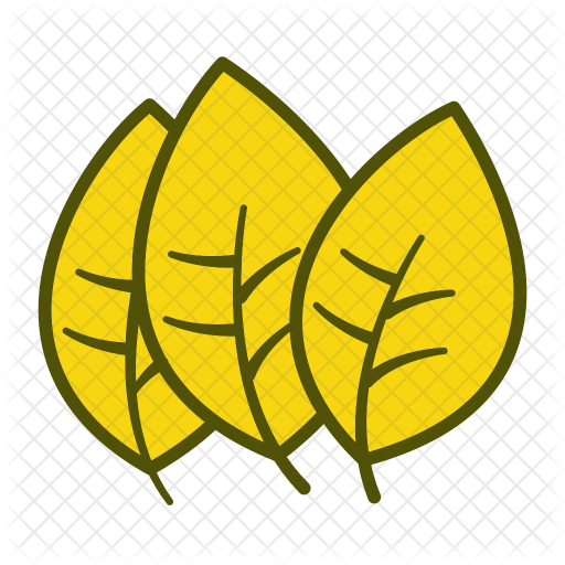 Spinach Icon - Spinach (512x512)