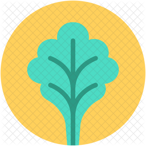 Spinach Icon - Icon (512x512)