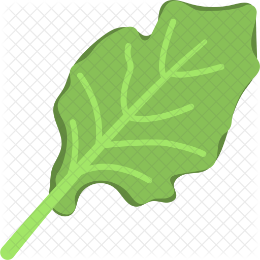 Spinach Icon - Spinach (512x512)