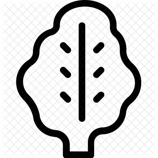 Spinach Icon - Vegetable (512x512)
