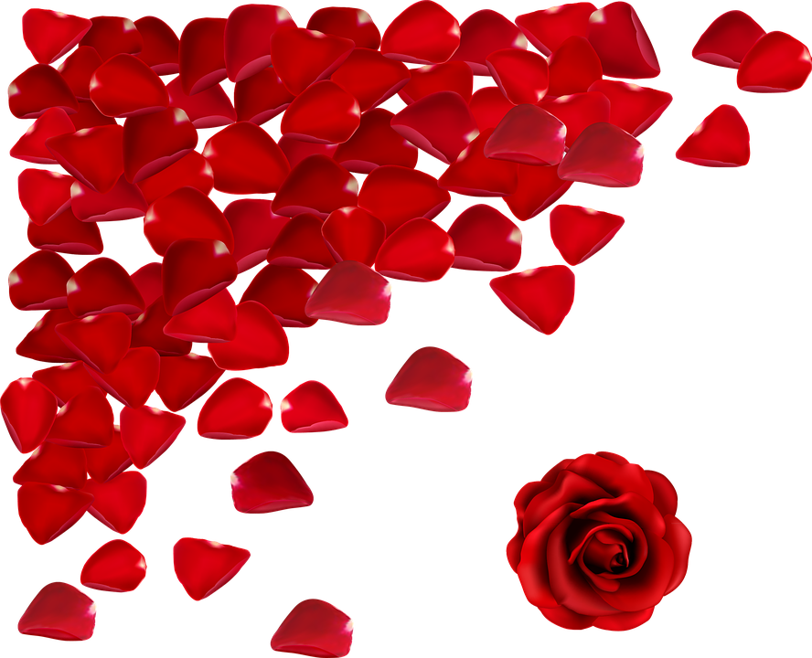 Flower Valentine Cliparts 19, Buy Clip Art - True Love Heart Couple Engagement Ring Stainless Steel (888x720)