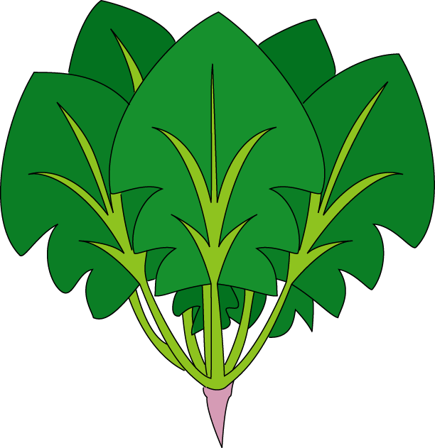 Cartoon Spinach Clipart - Clip Art Spinach (612x631)