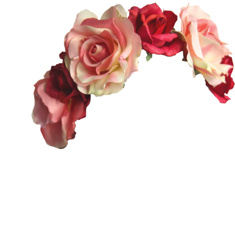 Flower, Flower Crown, And Transparent Image - Red Flower Crown Png (500x500)