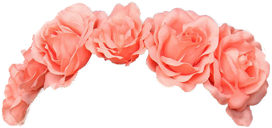 Crown Of Flowers Png Image - Pink Flower Crown Jpg (807x807)