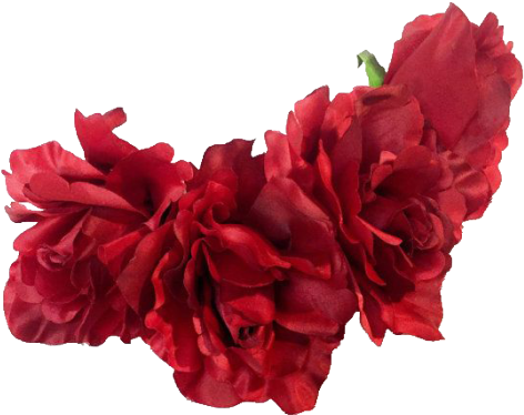 Transparent Flower Crowns - Carnation (500x402)
