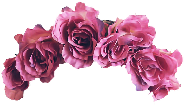 Hampm Choose Your Region - Flower Crown Transparent (854x544)