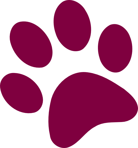 Paw Print Vector (558x598)
