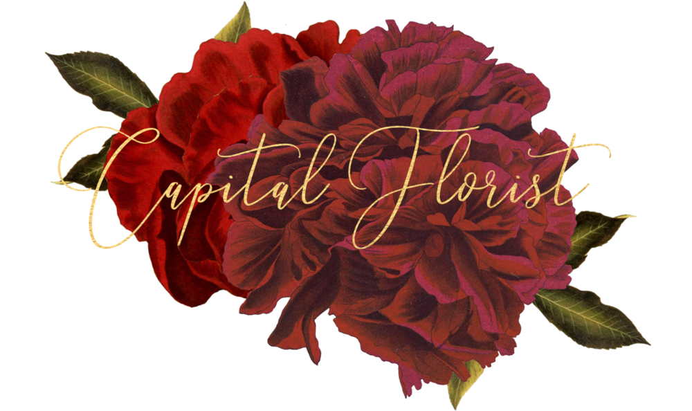 Capital Florist - Capital Florist (1000x594)
