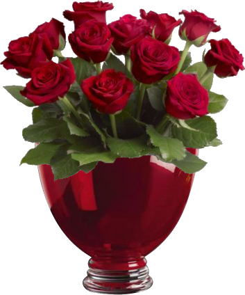 Yurinets Ida I Red Room 022 I Http - Dozen Roses (353x424)
