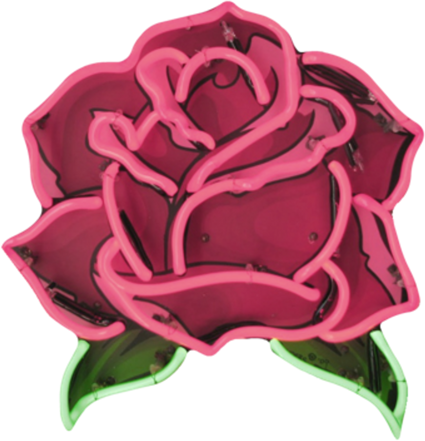 Aesthetic Roses Png (1024x1024)