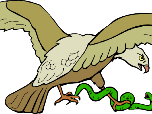 Rattlesnake Clipart Eagle - Rattlesnake Clipart Eagle (640x480)