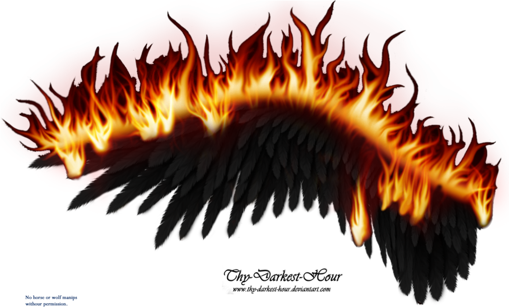 Wings On Fire - Black Wings On Fire (1024x638)