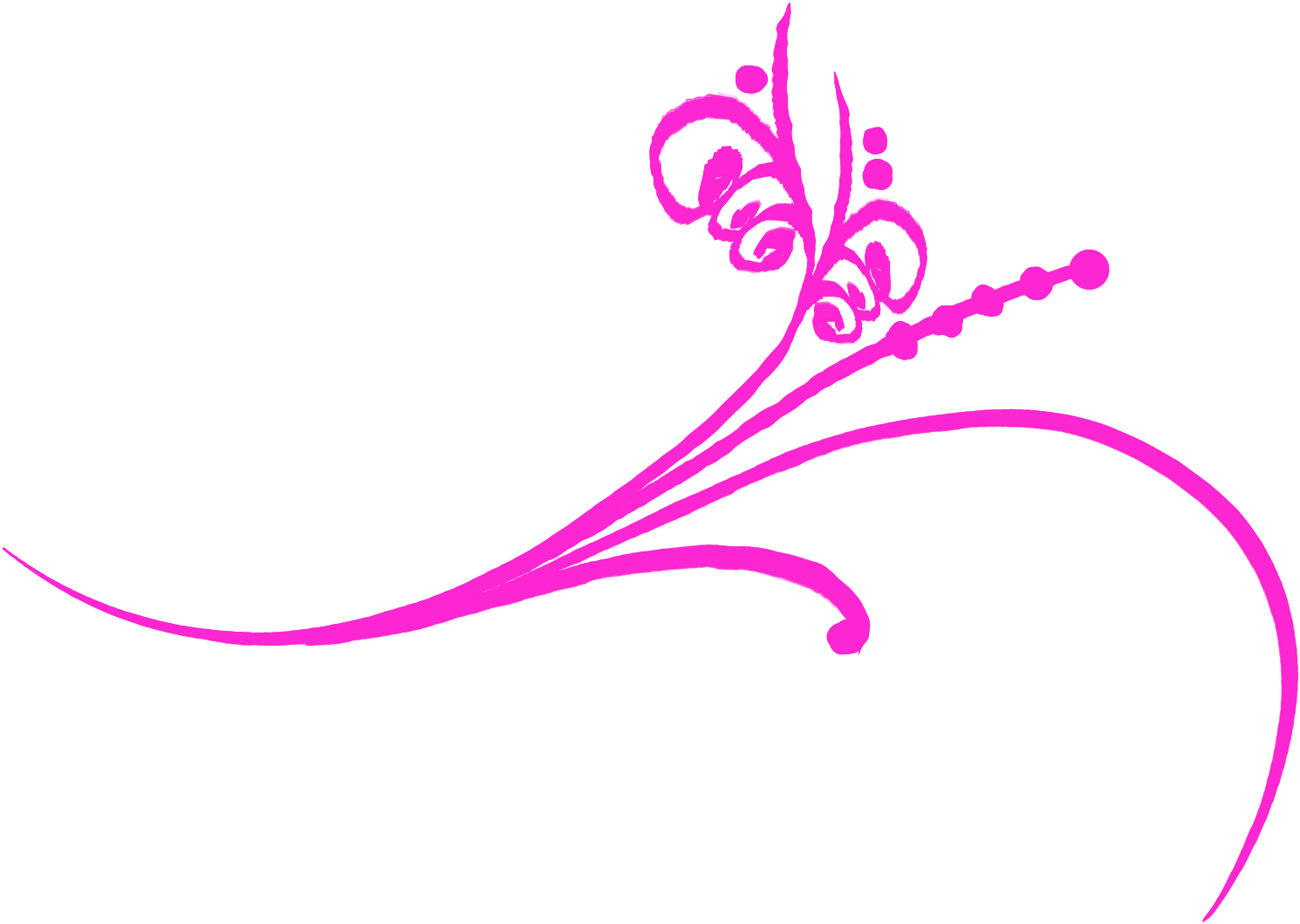 Pink Flourish Clipart - Drawing (1600x1175)