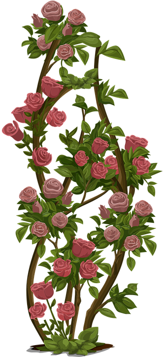 Rose Bush Clipart Rose Garden - Flower Tree Png Hd (360x720)