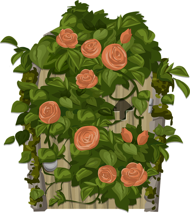 Rose Bush Clipart Flowering Plant - Flower (640x720)
