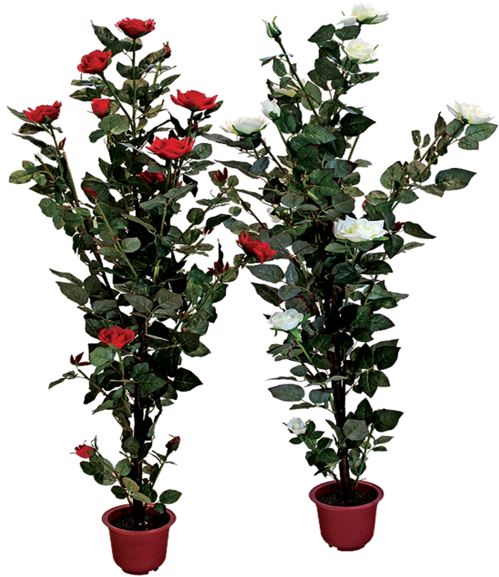 Rose Bush Clipart Shrub Plan - Flower Pot Transparent Png (1024x1024)