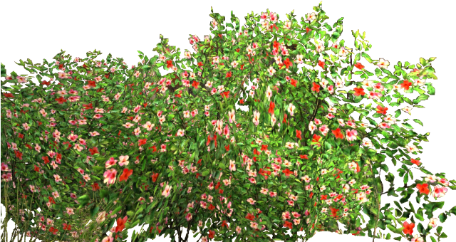 Rose Bush Png For Kids - Flower Garden Png (639x388)