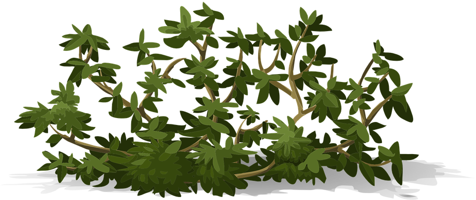 Bush Svg - Shrub (960x480)