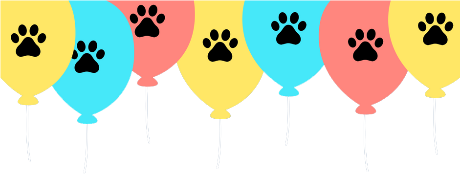 Shelter Rescue Week Copy - Sypialnioland.pl - Materace I Łóżka Kraków (940x370)