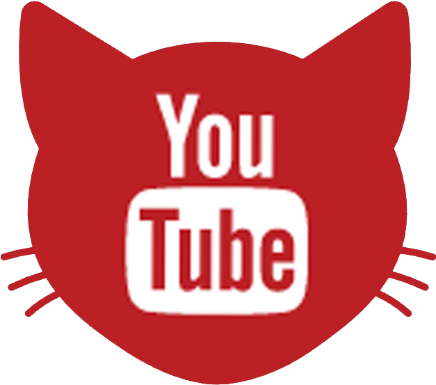 Follow Us - Optimize Youtube Videos: 1st Page Ranking On Youtube (626x626)