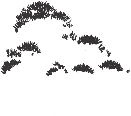 Choose Color - Larch (645x400)