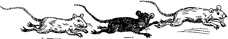 I Found This Vintage Animal Illustration In A Child's - Illustration (1048x357)