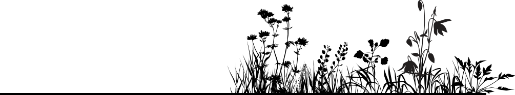 Christie's Anti-slavery Statement - Black And White Flower Footer (1005x187)