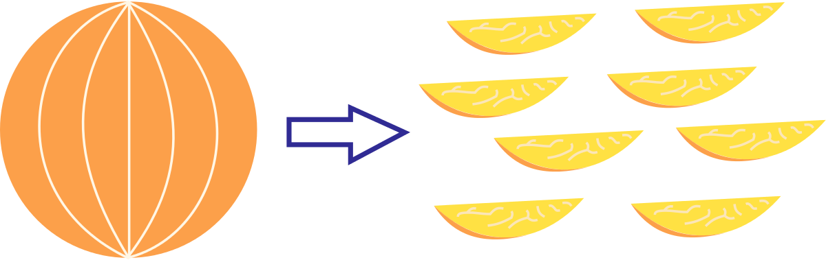 Orange Slices - Circle (1200x379)