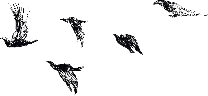 Birds - Sketch (668x308)