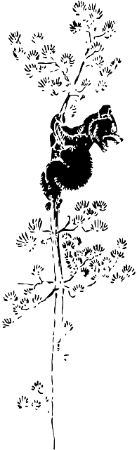 Animals Tree, High, Bear, Animal, Cub, Climbing, Animals - Bear (320x640)