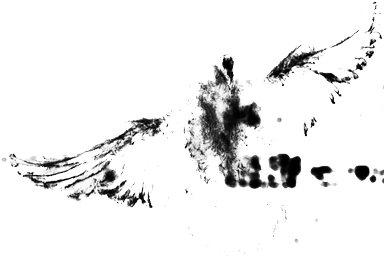 Bird Impression - Sketch (400x314)