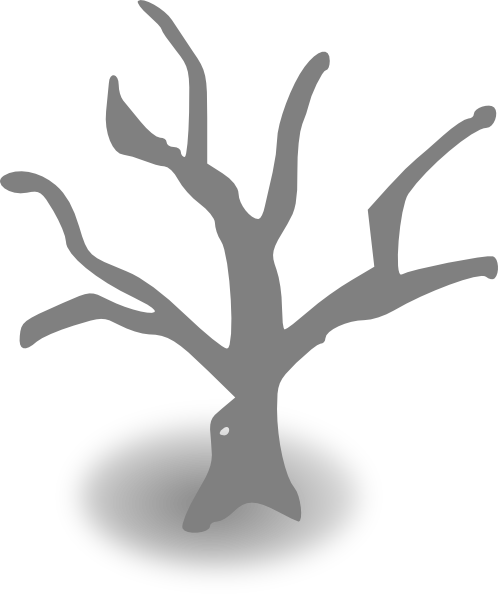 Tree Graphic Organizer Template (498x598)