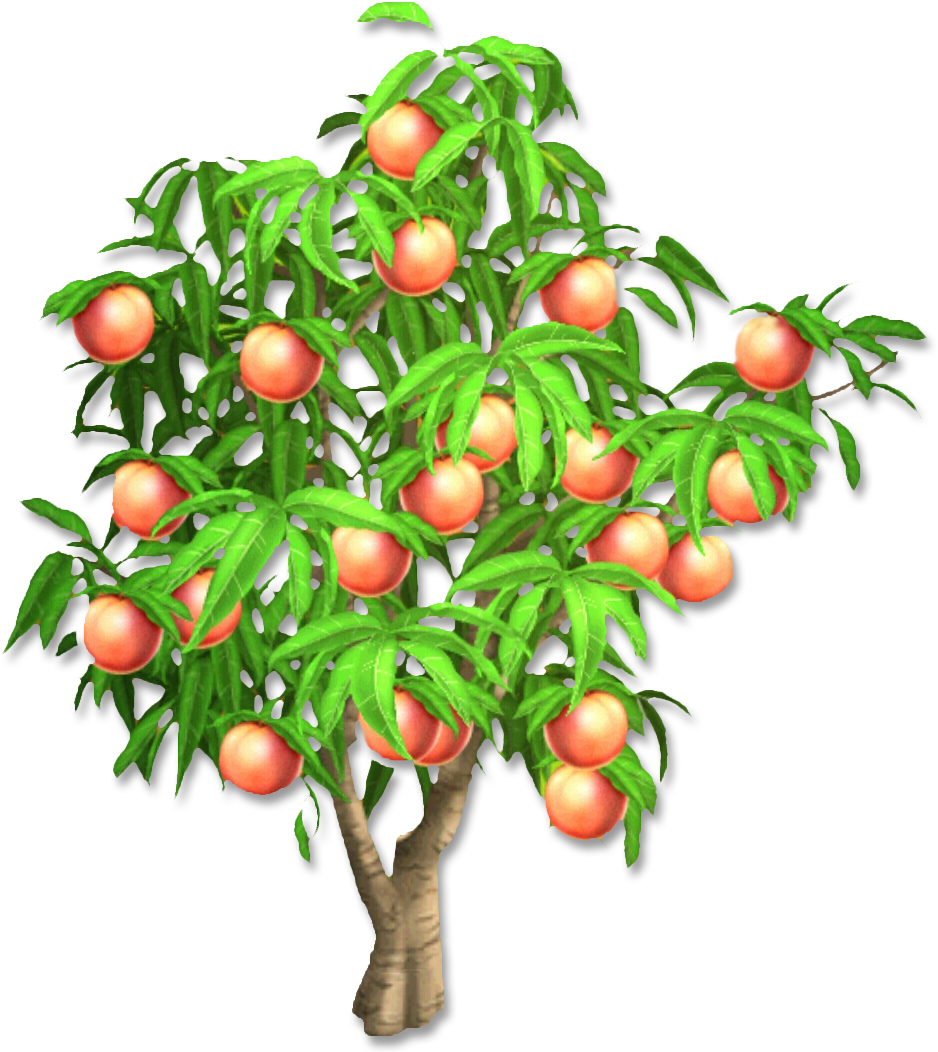 Orange Tree - Orange Tree (1051x1051)