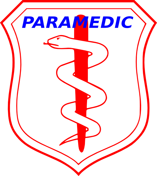 3drose New Paramedic Stainless Steel Travel Mug, 14-ounce (534x597)