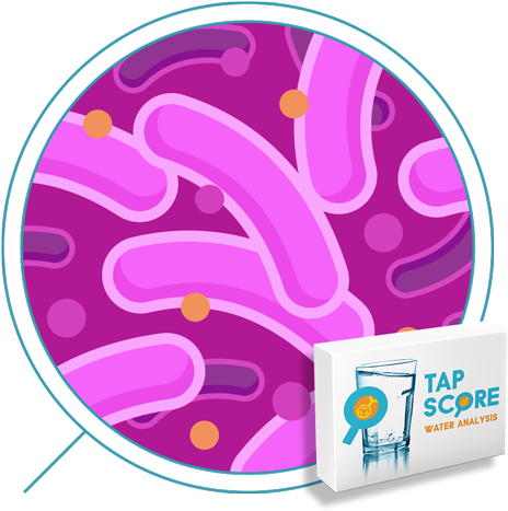 Pro Bacteria Test Ii - Simple Water Lead Test :: Epa Methods For Lead, Copper (500x500)