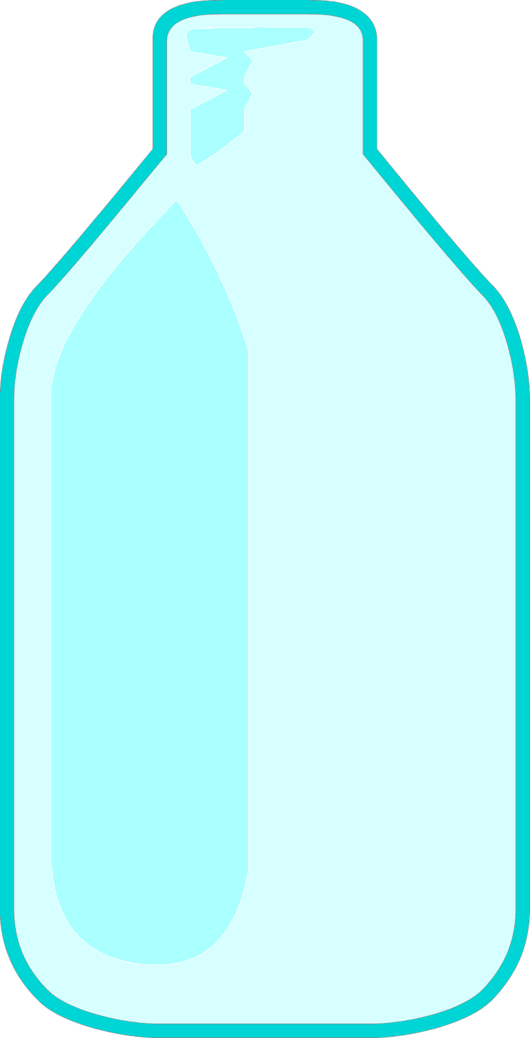 Bfb Water Bottle (771x1509)