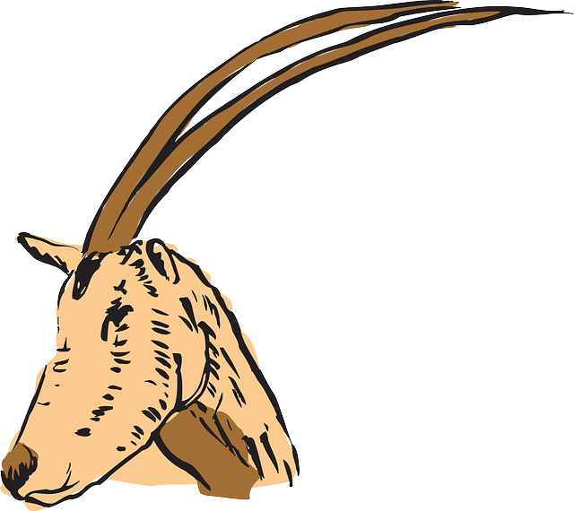 Antelope Head, Art, Forest, Long, Horns, Animal, Antelope - Horn (640x570)