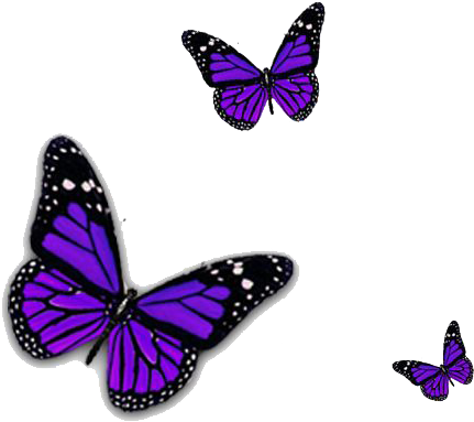 Purple Butterfly Png Transparent Image - Purple Butterfly Transparent (445x393)