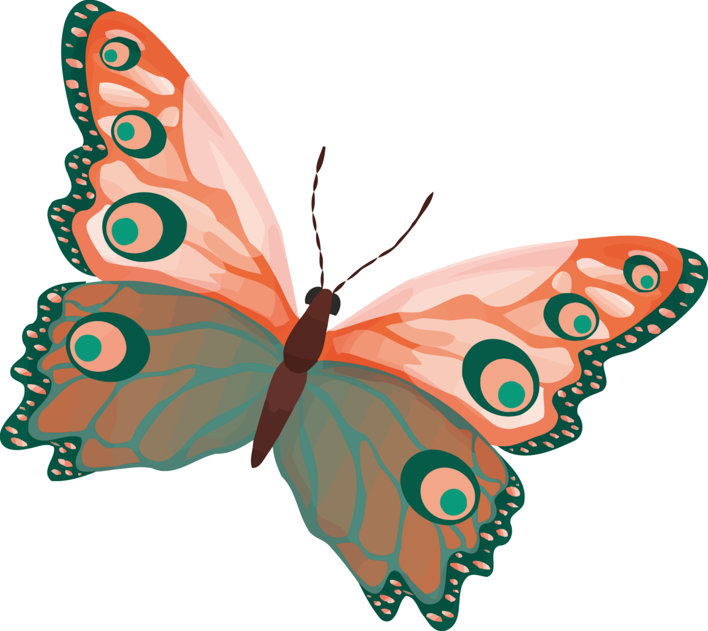 Butterfly 2 - Butterfly Drawing Color (2400x2141)