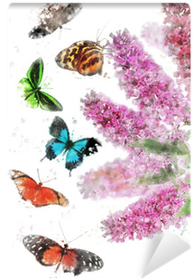 Watercolor Image Of Butterfly Bush Wall Mural • Pixers® - Painting (400x400)