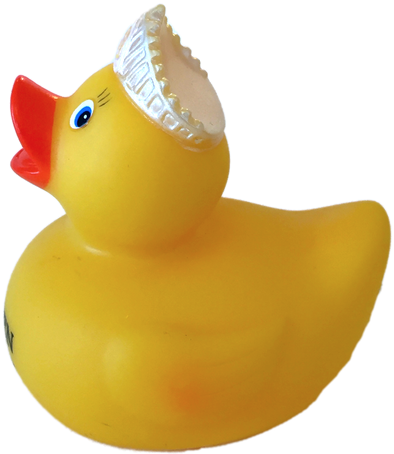 King For The Day Rubber Duck Ducks In The Window - Rubber Duck (500x500)