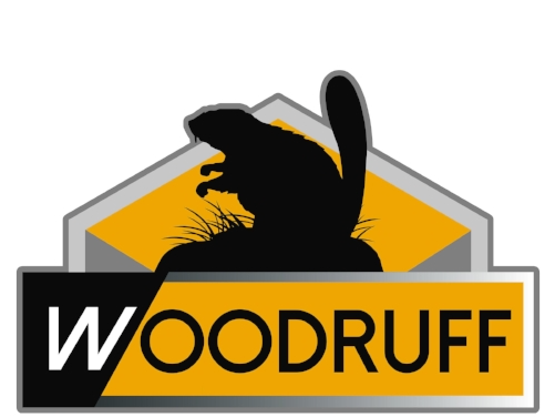 Flooring Contractor Orlando - Wood Flooring (500x492)