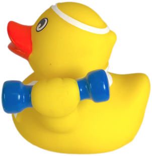 Workout Rubber Duck Ducks In The Window - Duck (500x500)