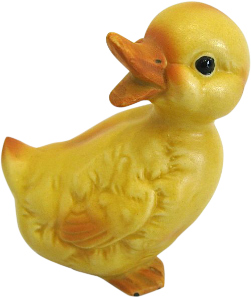Duck (588x588)
