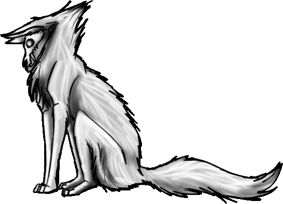 Wolf Skull Pose By Annatiger1234 - Illustration (564x406)