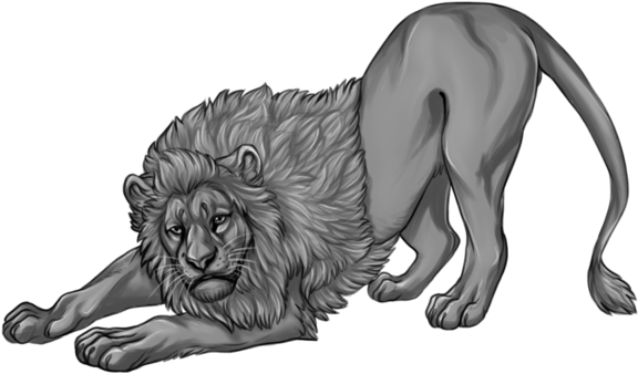 Free Lion Lineart By Reviro - Free Lion Bases (600x497)
