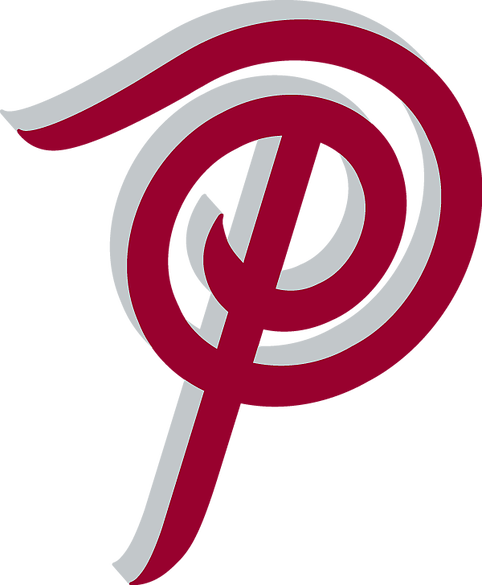 Pioneer Flooring Icon - Pioneer Floor Coverings (482x585)