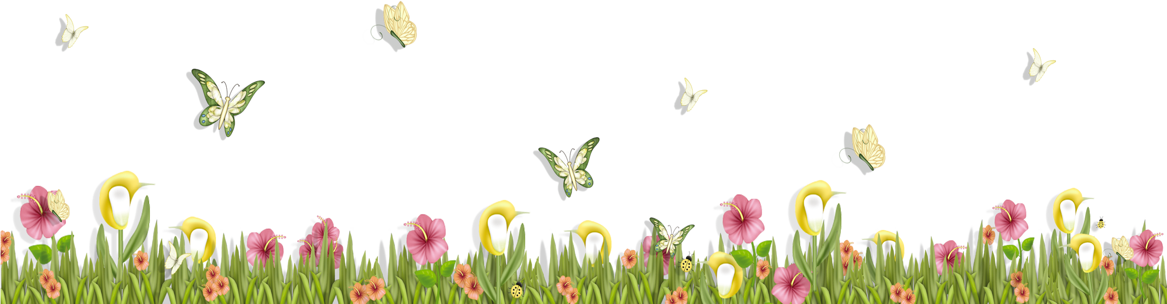 Grass With Butterflies And Flowers Png Clipart Spring - Flower And Butterfly Png (2339x802)